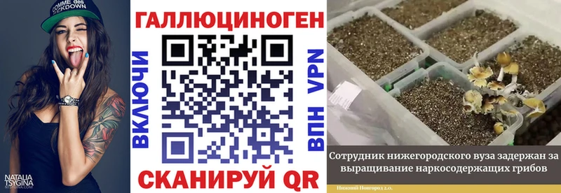 MEGA ССЫЛКА магазин наркотиков Гвардейск Псилоцибиновые грибы MAGIC MUSHROOMS